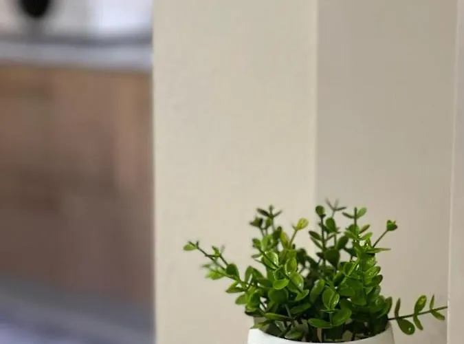 Mishel House Appartement *