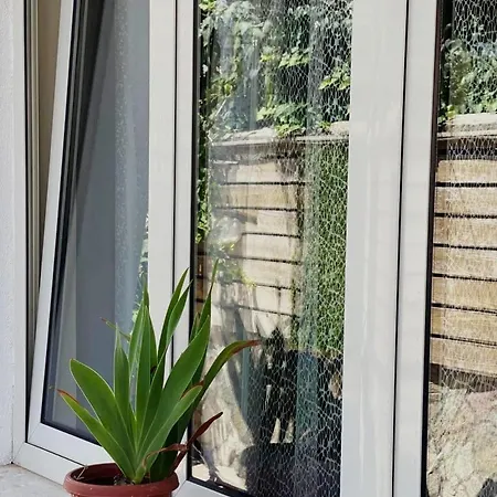 Mishel House Appartamento Shkodër